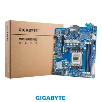 Gigabyte Mainboard MC13-LE0