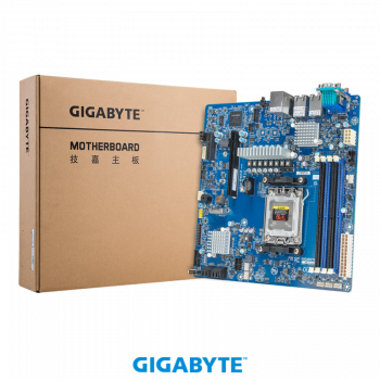 Gigabyte Mainboard MC13-LE1