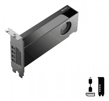 Preview: NVIDIA RTX PRO 2000 Blackwell Edition - 16GB - Retail