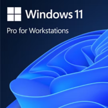 MS Windows 11 PRO for Workstations - deutsch (DE)