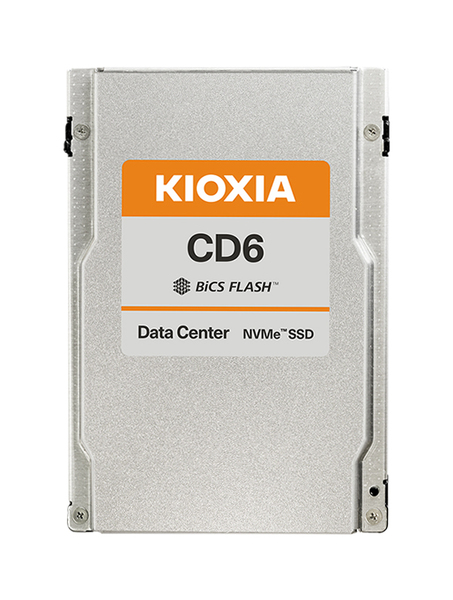 KIOXIA CD6-R Serie SSD - 960GB - U.3 NVMe