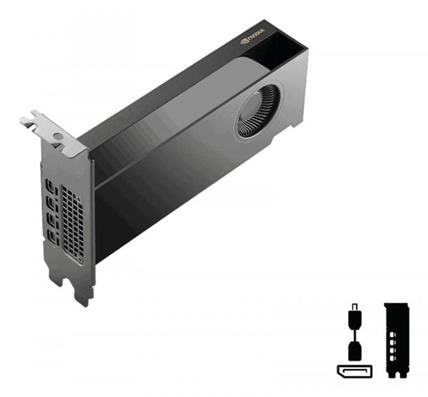 PNY NVIDIA RTX PRO 2000 Blackwell Edition - 16GB - bulk