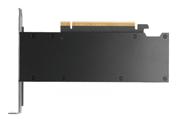 PNY NVIDIA RTX PRO 2000 Blackwell Edition - 16GB - bulk